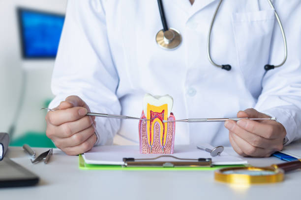 Best Tooth Infection Emergency Dentist  in Hillsboro, ND